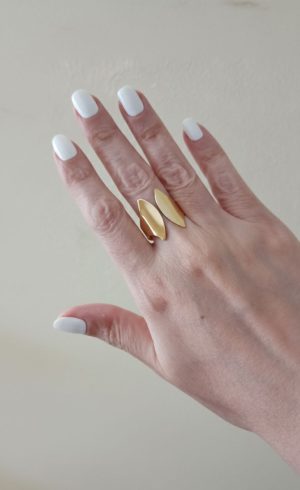 Anel orgânico chapa lisa duas abas regulável